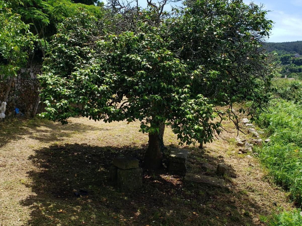 Casa Rural Do Fontan Konuk evi Pontevedra Dış mekan fotoğraf